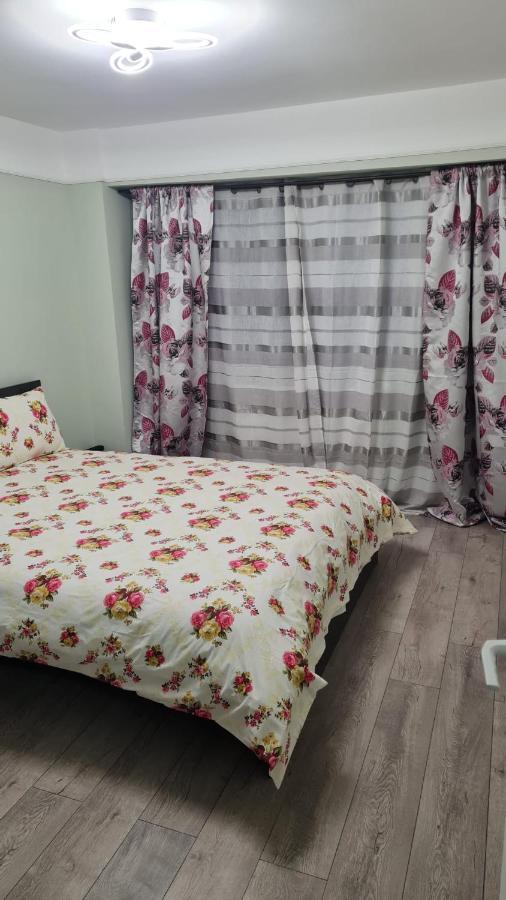 Central Flat Sighetu Marmaţiei Екстериор снимка